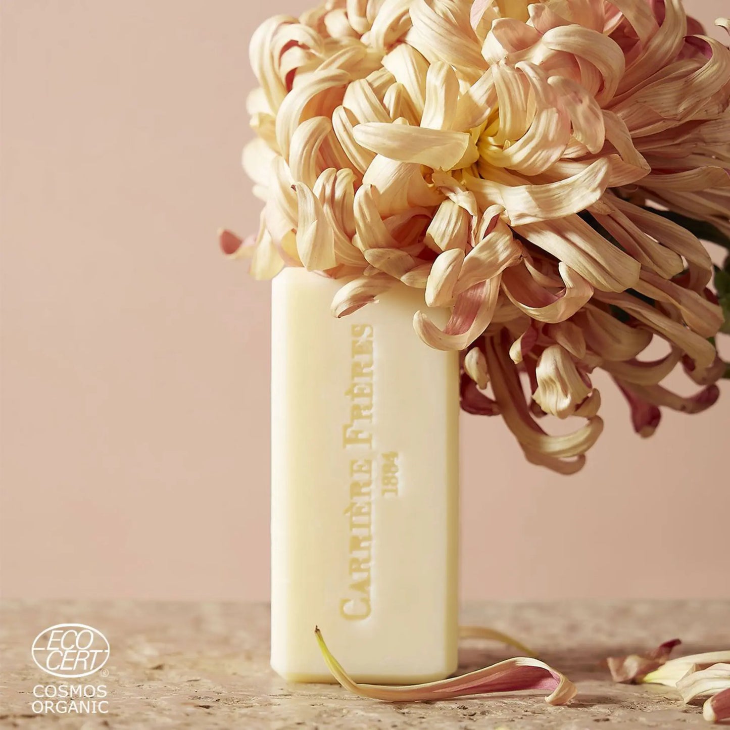 Savon solide Apotheca de Carrière Frères, vegan certifié bio Cosmos Organic, parfum aromatique mentholé à la menthe poivrée et sapin, ambretmusc