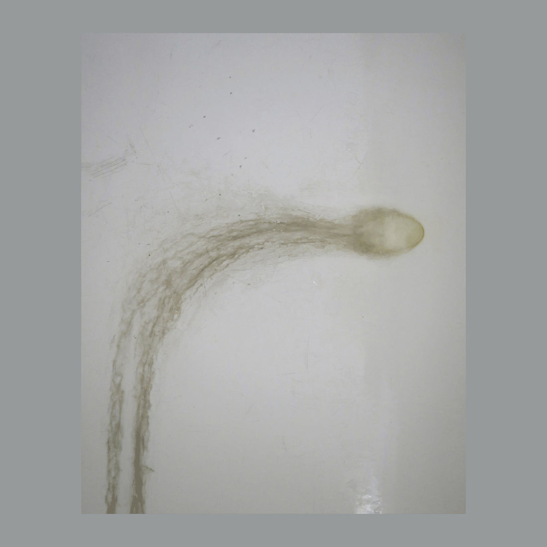 Seminalis Orto Parisi