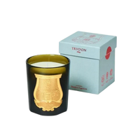 Bougie parfumée Spiritus Sancti de Trudon, collection ambretmusc, avec notes d'encens, oliban et ambre dans une atmosphère sacrée.