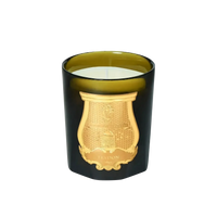 Bougie parfumée Spiritus Sancti de Trudon, aux senteurs capiteuses d'ambre et musc inspirées d'une cathédrale sacrée.
