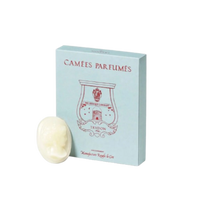 Camée parfumé Solis Rex de Trudon, senteur boisée et encensée inspirée de Versailles avec ambretmusc