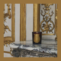 Solis Rex Trudon