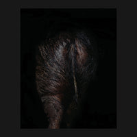 Stercus Orto Parisi