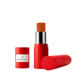 Stick Blush Brique