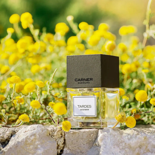 Eau de parfum Tardes de Carner dans la collection Ambre & Musc, un fragrance enveloppant évoquant la sérénité d'un après-midi d'été.