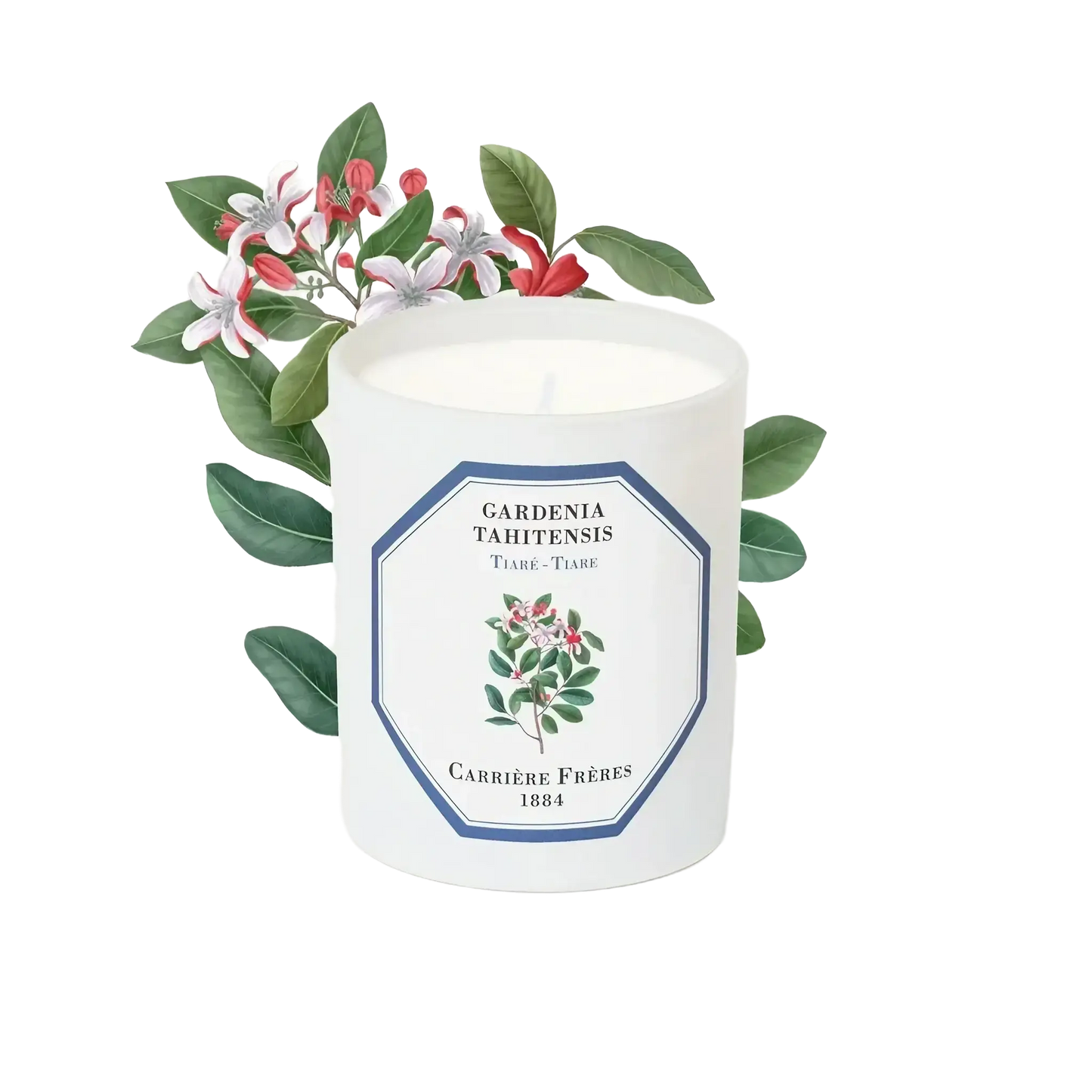 Bougie parfumée Tiaré de Carrière Frères, fragrance inspirée de la fleur polynésienne tiaré avec ambretmusc.