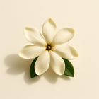 Tiaré (Gardenia Tahitensis)