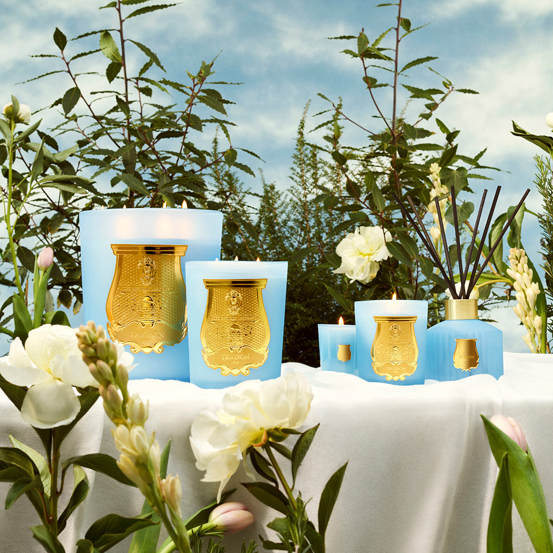 Versailles Diffuseur Trudon, photo officielle