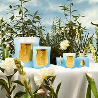 Versailles Diffuseur Trudon, photo officielle