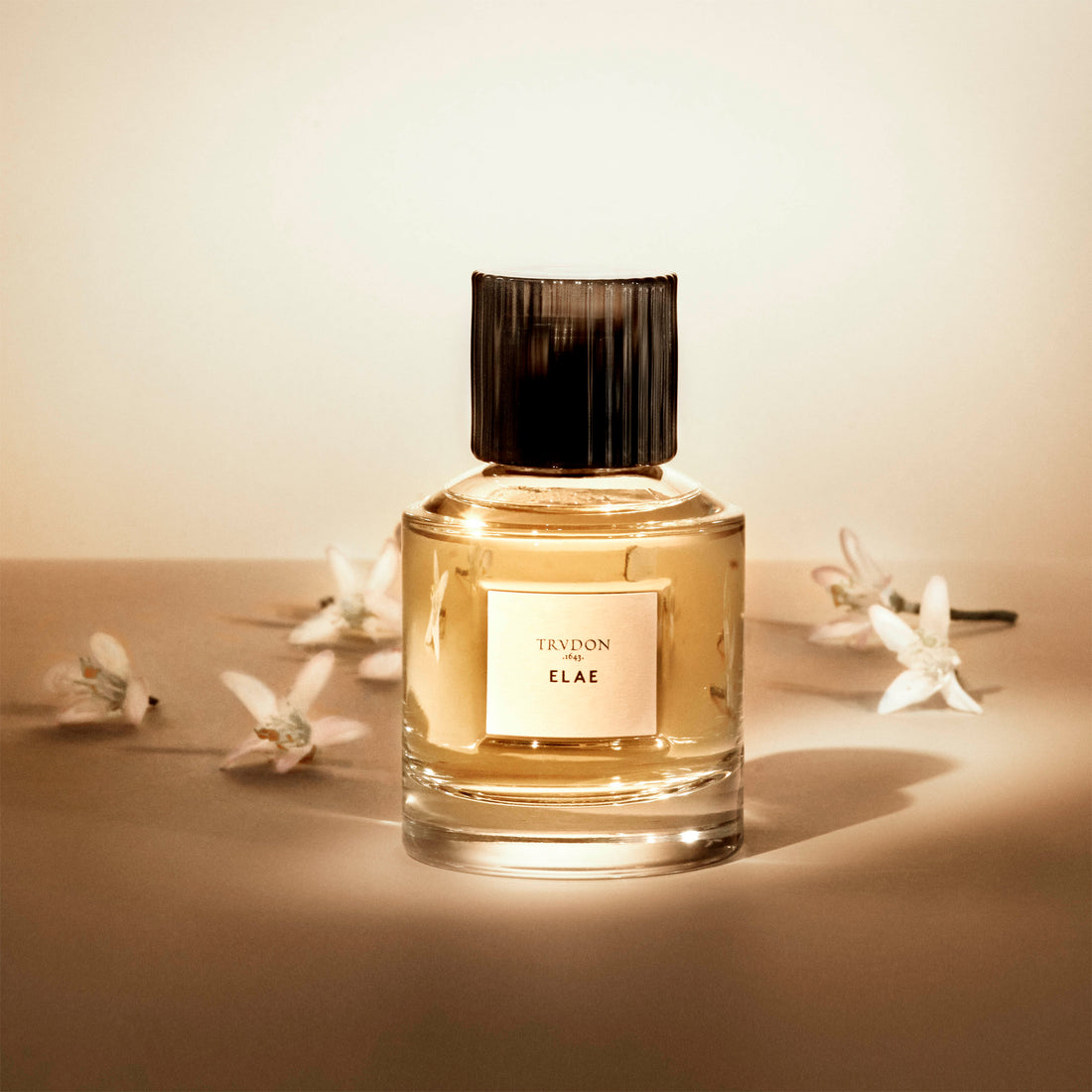 Elae | Trudon