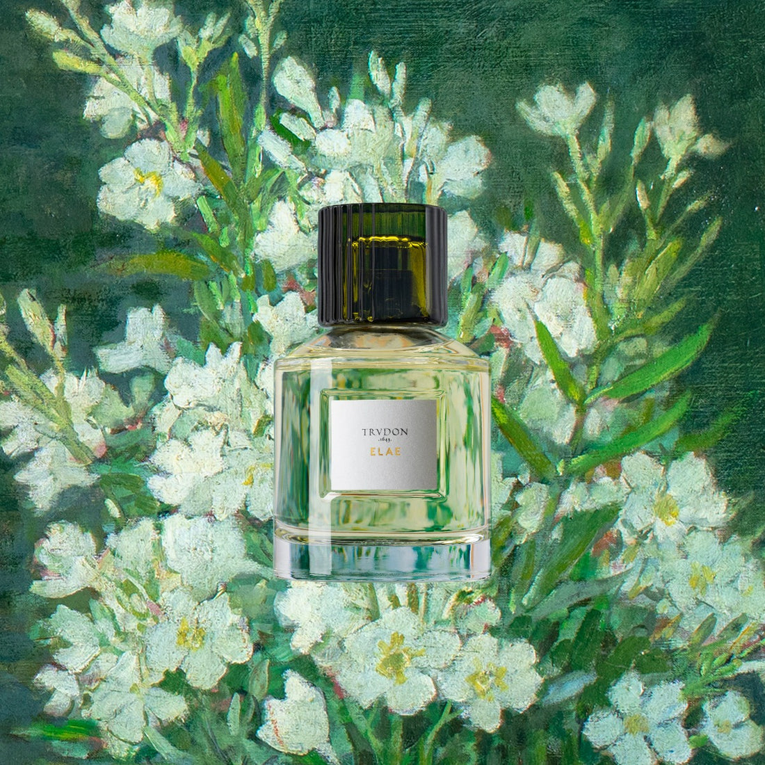 Elae | Trudon