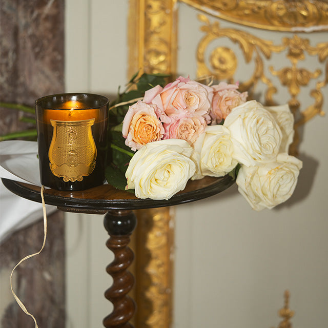 La Bougie Classique, Joséphine | Trudon