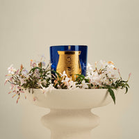 Trudon, classic scented candle Maduraï, Belles Matières Collection, on a vase surrounded by jasmine | Trudon