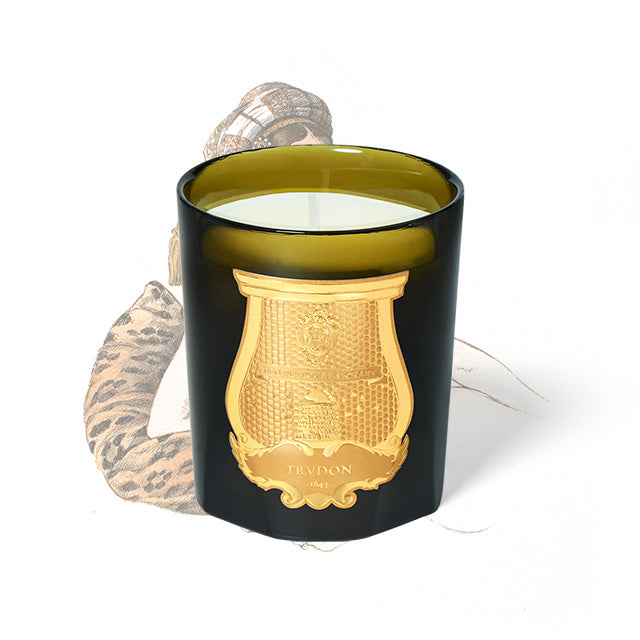 Odalisque Trudon, photo officielle