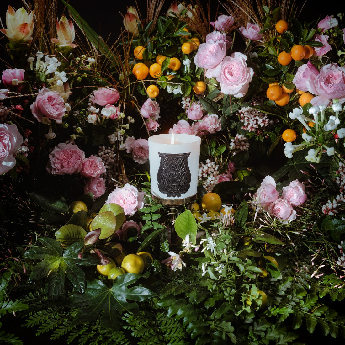 La Bougie Classique, Rose Poivr\u00e9e | Trudon