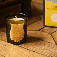 La Bougie Classique, Solis Rex | Trudon