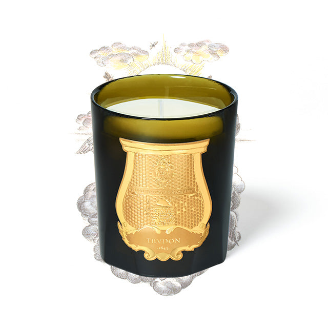 Spiritus Sancti Trudon, photo officielle