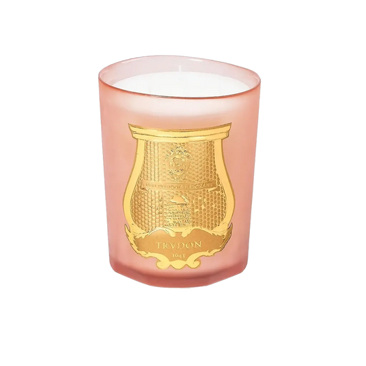 Bougie parfumée Tuileries de Trudon, collection inspirée du patrimoine français et des Tuileries avec ambretmusc