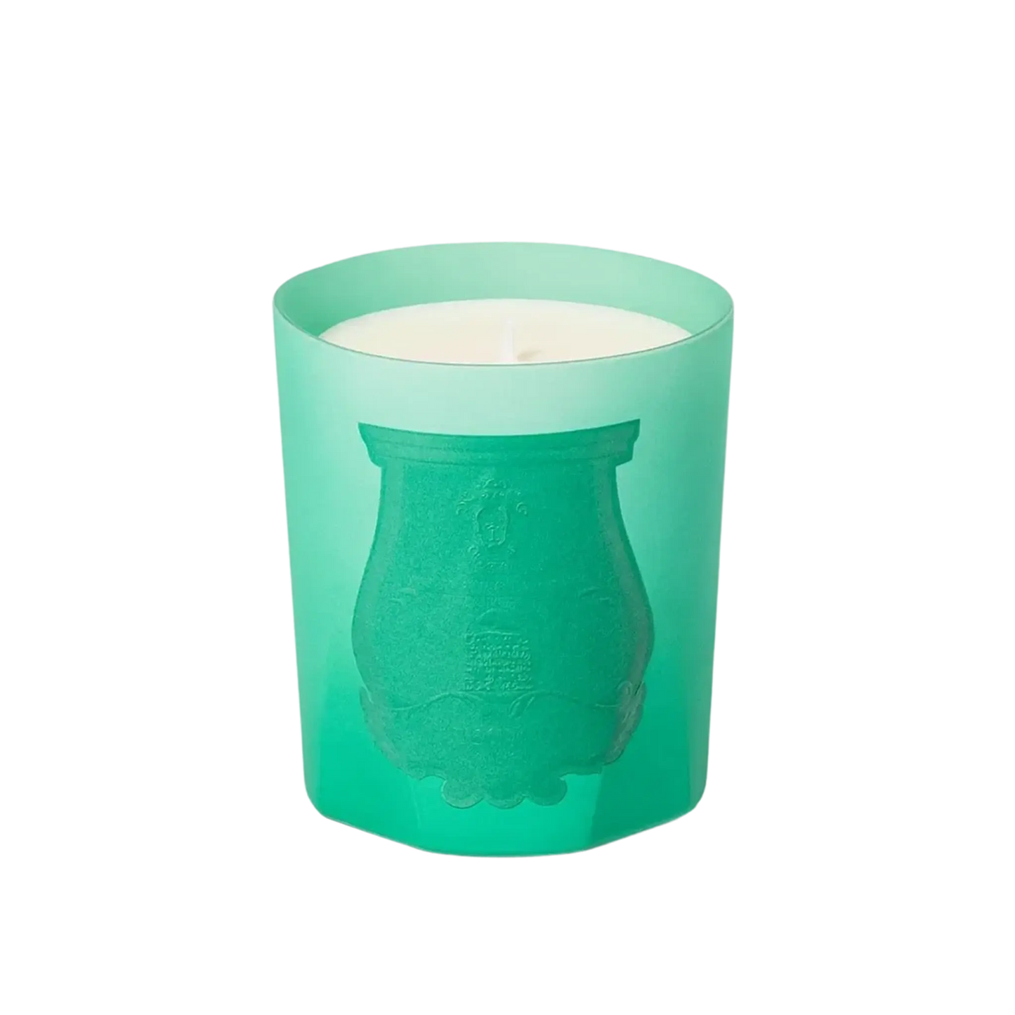 Bougie parfumée Under the Trees de Trudon, fragrance verte aromatique et boisée avec ambretmusc, évoquant la fraîcheur végétale