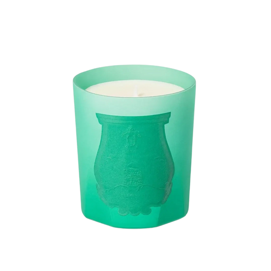 Bougie parfumée Under the Trees de Trudon, fragrance verte aromatique et boisée avec ambretmusc, évoquant la fraîcheur végétale