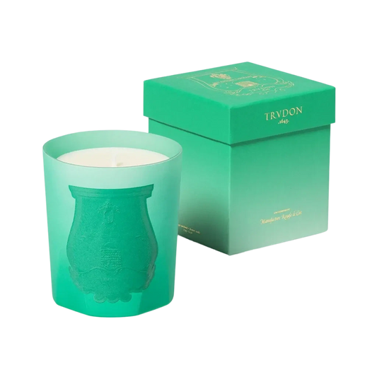 Bougie parfumée Under the Trees de Trudon, collection Ambre & Musc, fragrance verte aromatique et boisée évoquant la fraîcheur végétale.
