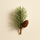 Une Forêt d'Or