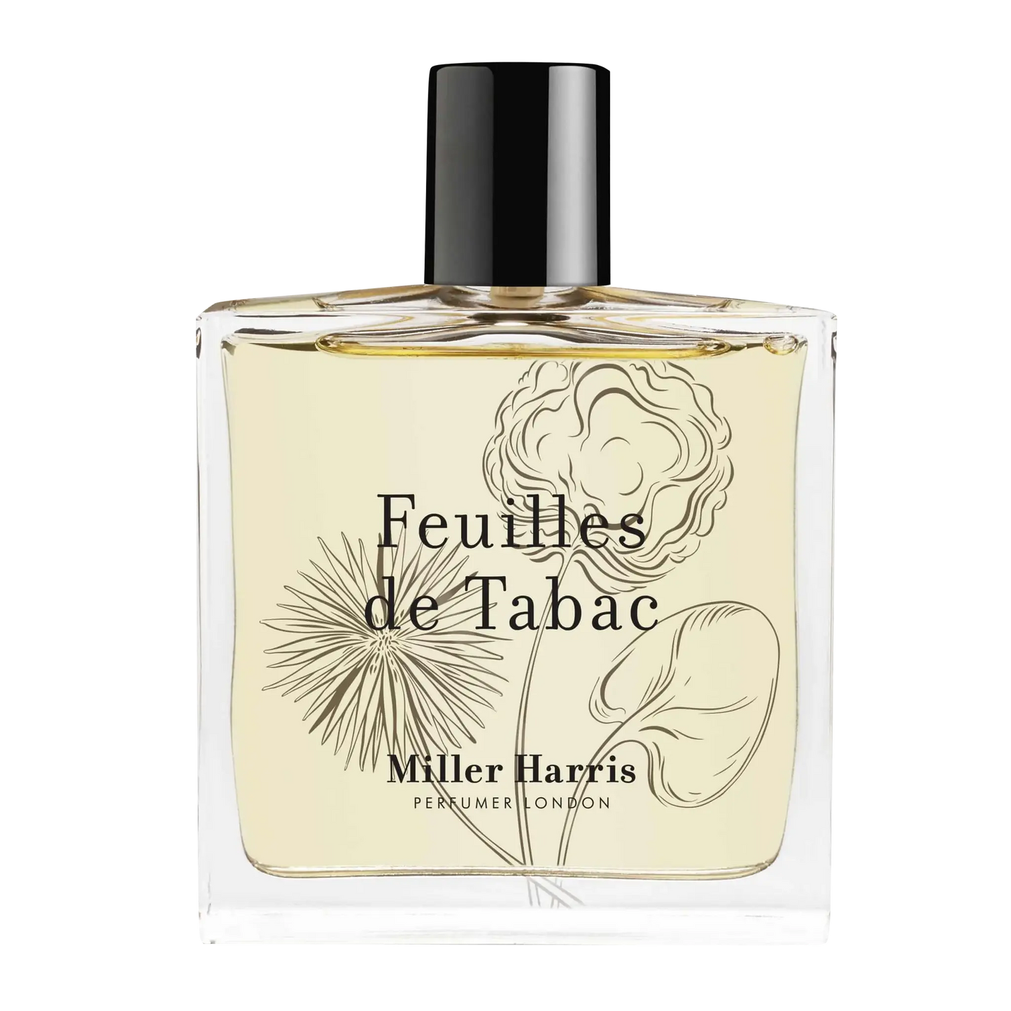 Image qui affiche Parfum Feuilles de Tabac d'une contenance de 100ml Neuf. Une création par la Marque Miller Harris et vendu par Ambre&Musc Parfumerie de Niche et Institut de Beauté.