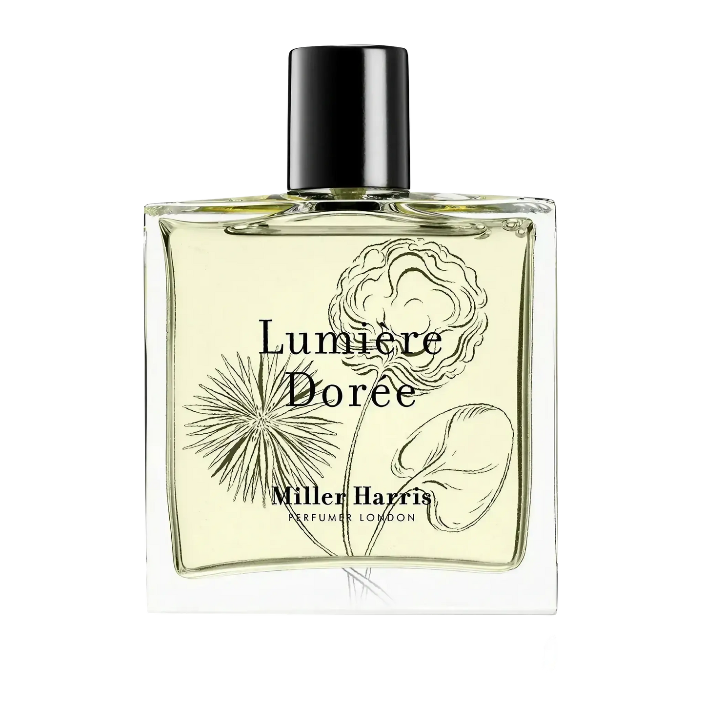 Image qui affiche Parfum Lumière Dorée d'une contenance de 100ml Neuf. Une création par la Marque Miller Harris et vendu par Ambre&Musc Parfumerie de Niche et Institut de Beauté.
