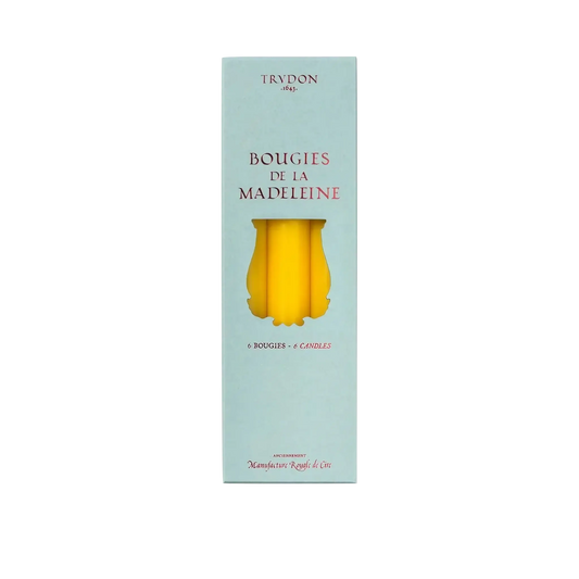 Image qui affiche Chandelles Madeleine Jaune d'une contenance de 6 bougies Neuf. Une création par la Marque Trudon et vendu par Ambre&Musc Parfumerie de Niche et Institut de Beauté.