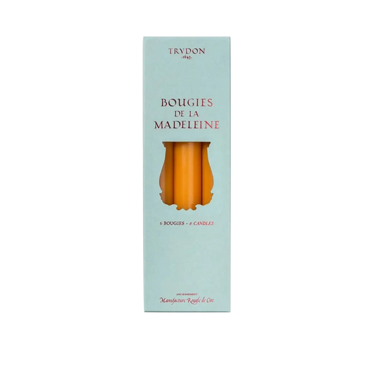 Image qui affiche Chandelles Madeleine Maïs d'une contenance de 6 bougies Neuf. Une création par la Marque Trudon et vendu par Ambre&Musc Parfumerie de Niche et Institut de Beauté.