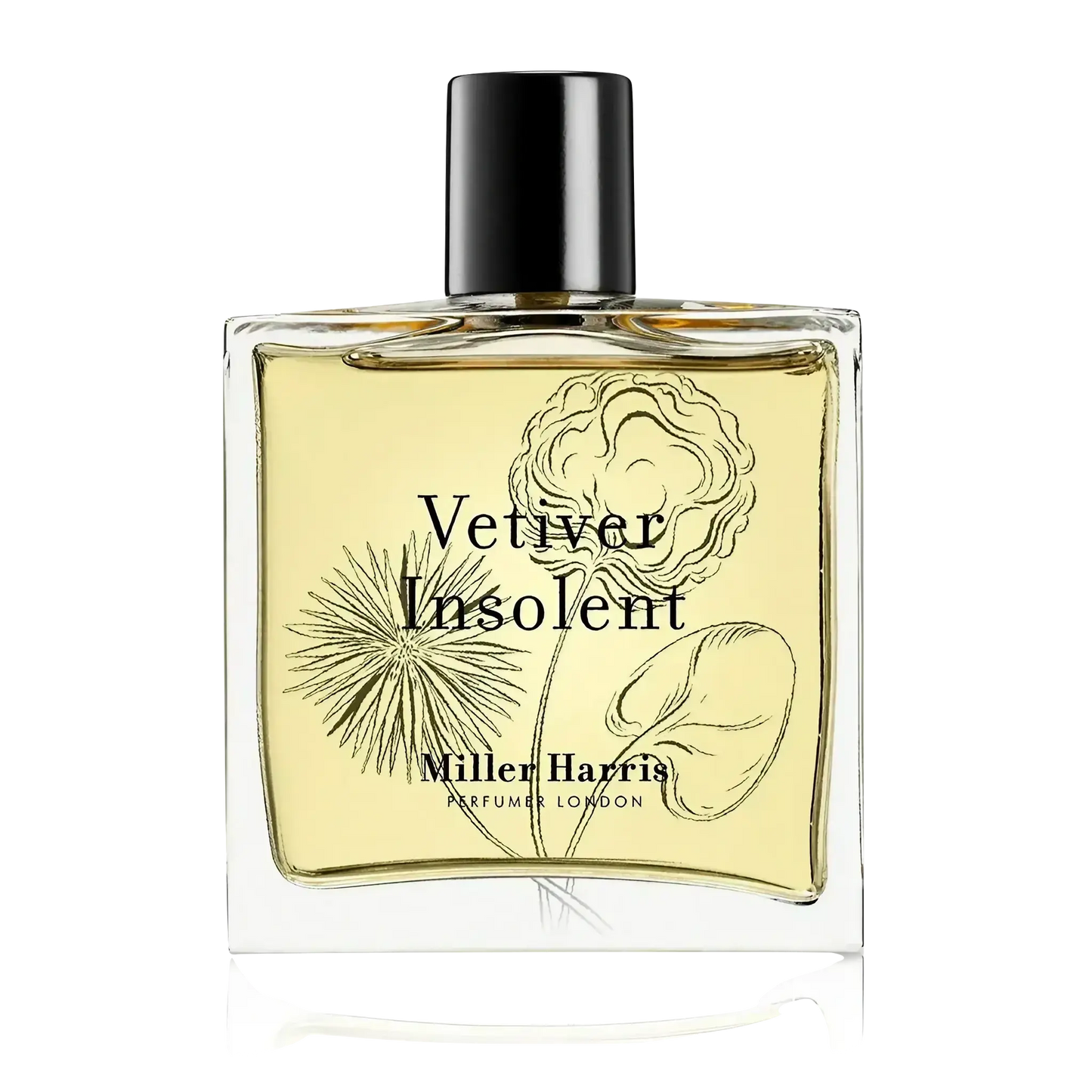 Image qui affiche Parfum Vétiver Insolent d'une contenance de 50ml Neuf. Une création par la Marque Miller Harris et vendu par Ambre&Musc Parfumerie de Niche et Institut de Beauté.